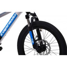 Capriolo LC KID 200 20" gyerek kerékpár Szürke-Kék